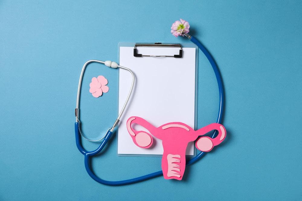 An arrangement features a blue stethoscope, a blank clipboard, and a pink paper cutout shaped like a uterus positioned on a light blue background.