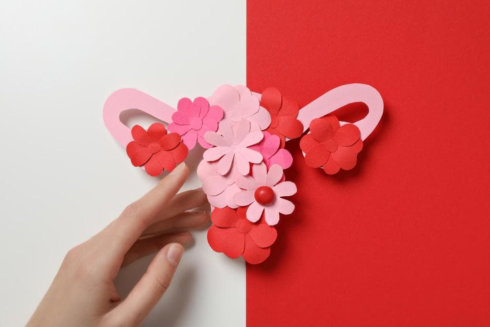A creative paper collage of a uterus is depicted, made using pink and red paper flowers. A hand is gently touching the collage, set against a contrasting background of red and white.