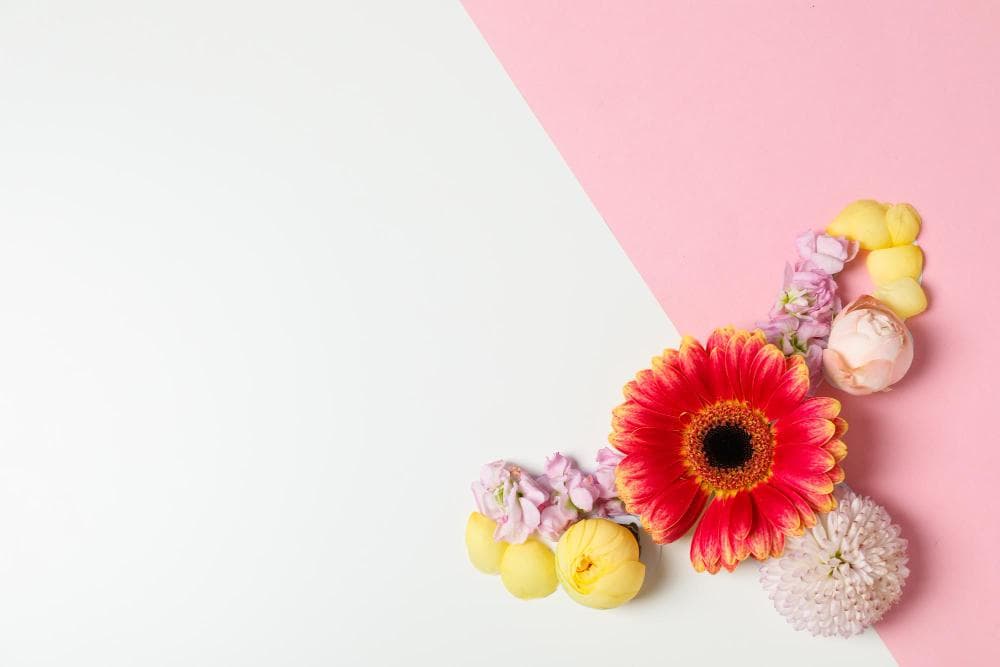 PH Balance In The Vagina: Why It Matters And How To Maintain It?
