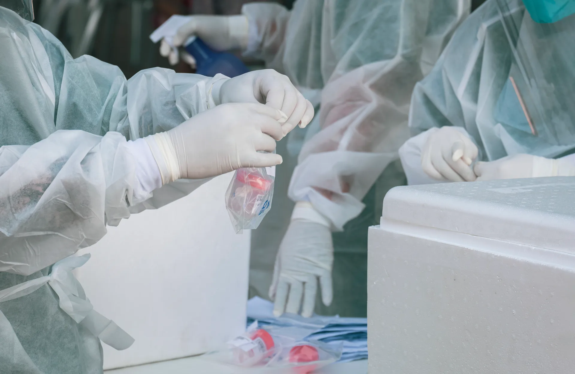 Frozen Embryo Transfer (FET): The Process, Success Factors and Who Needs It