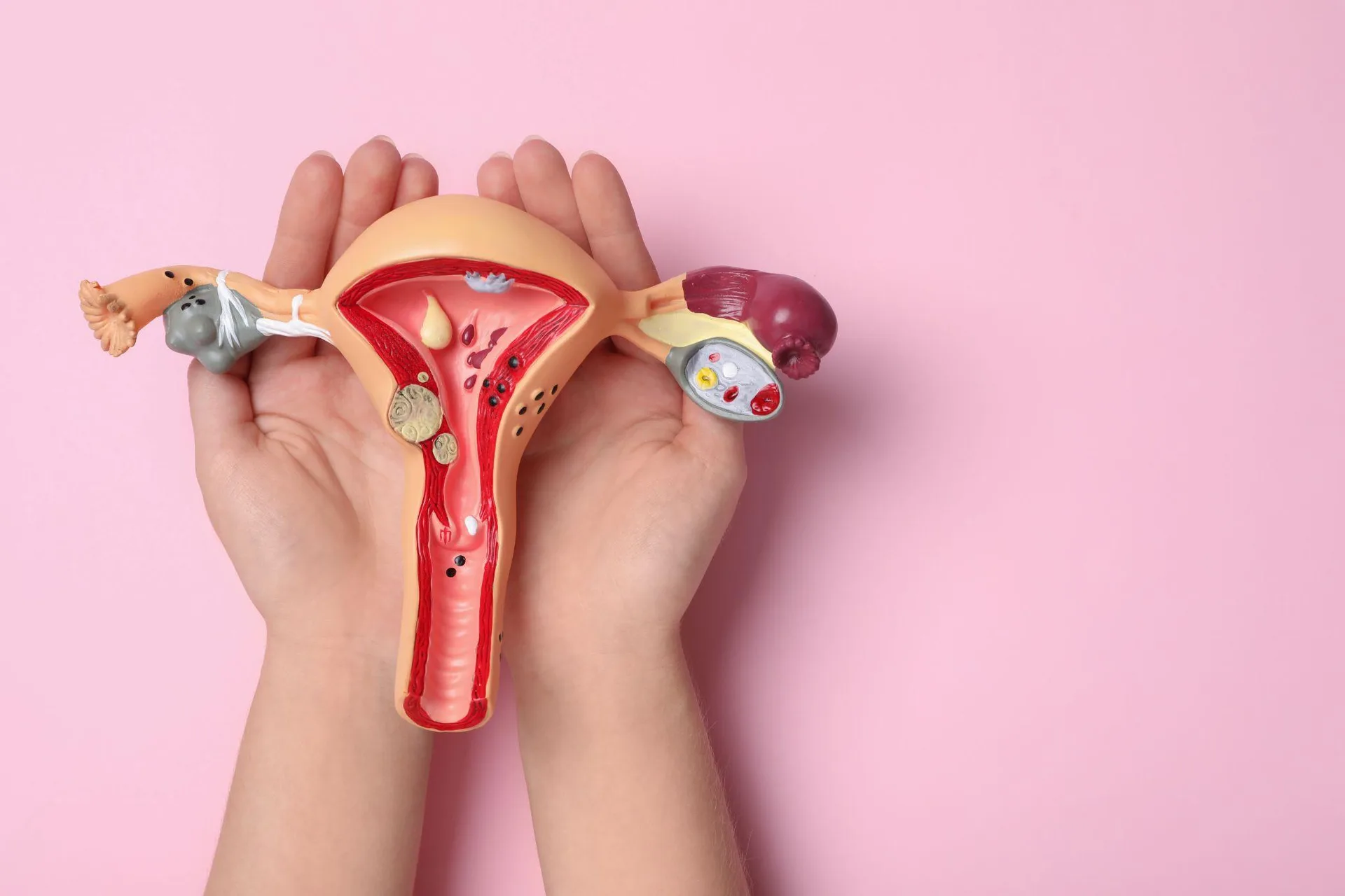Vulvar and Genital Skin Conditions: What's Normal, What's Not