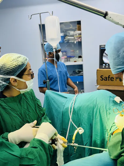 Intraoperative view of a laparoscopic procedure demonstrating surgical precision